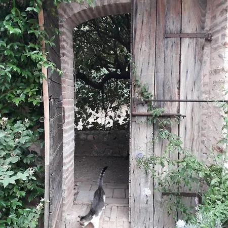 La Palombaia *